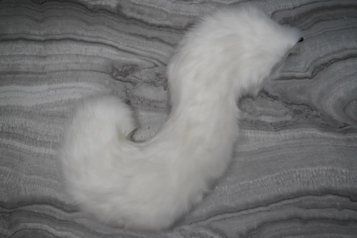Large white canine shaped tail, hand sewn for the Protogen half partial