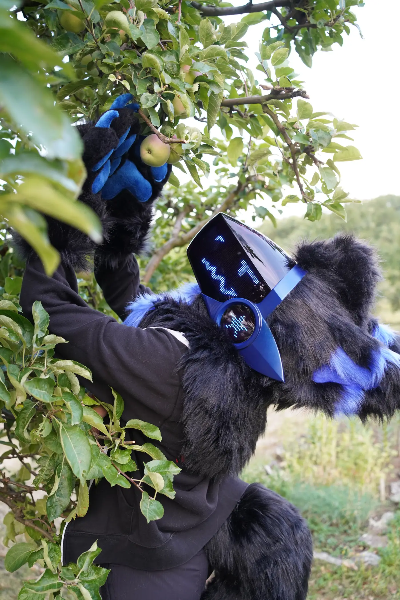 Black and blue Protogen partial reaching into an apple tree with a blue clawed hand paw