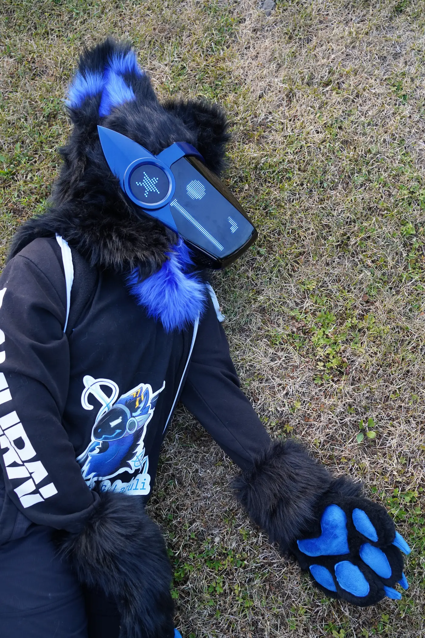 Black and blue Protogen partial lying in the grass with its blue paw pads up