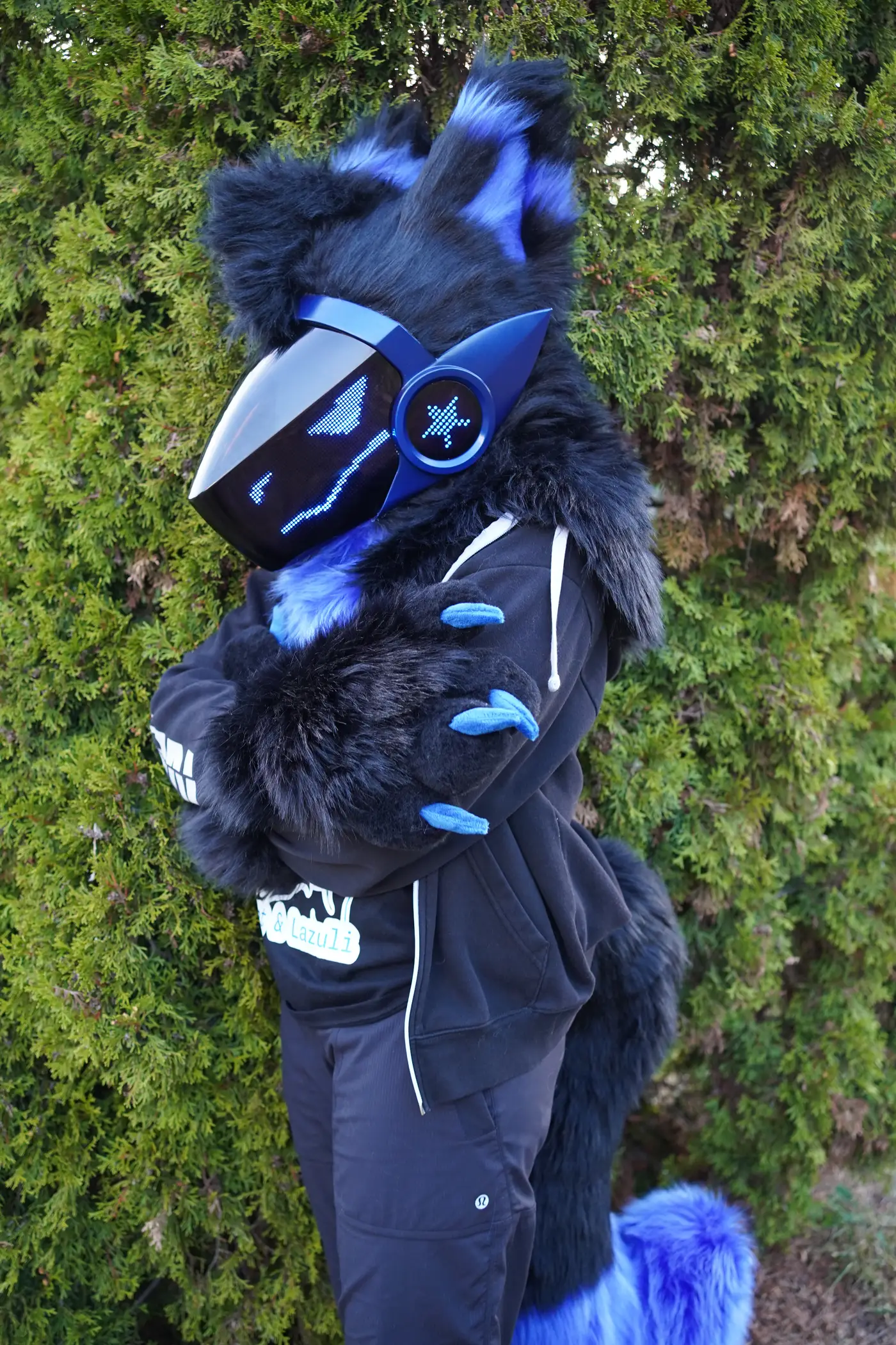 Black and blue Protogen partial standing by a tall green hedge
