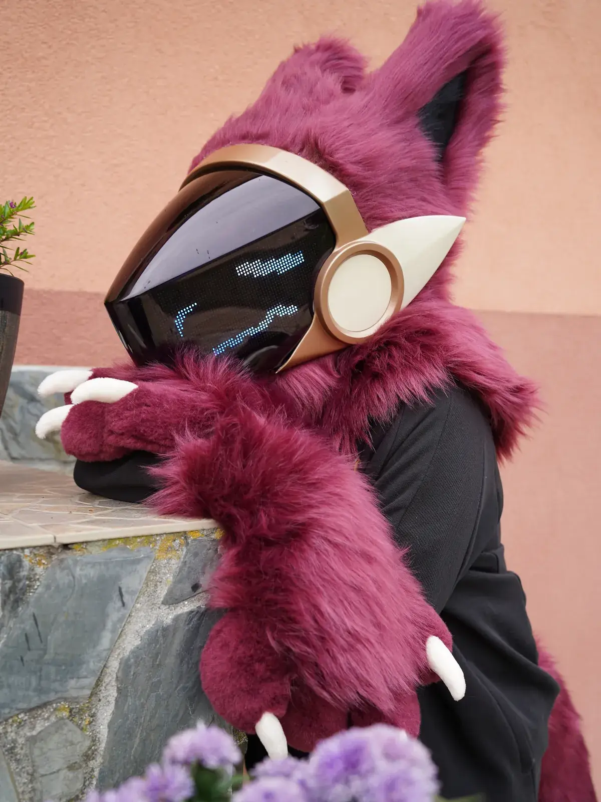 Burgundy Protogen mini partial leaning on a stone wall by purple asters, blue pixel face on the cream framed LED visor