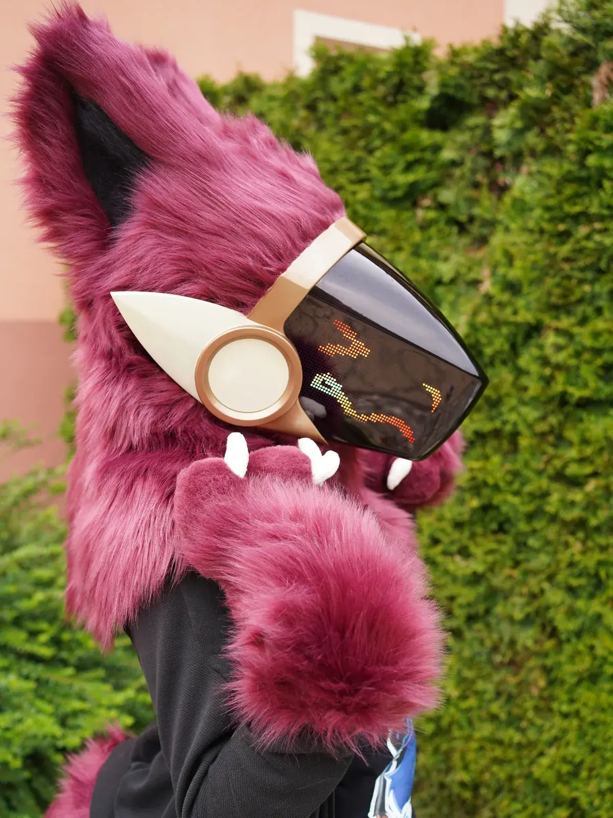Burgundy Protogen mini partial in profile by a green hedge, rainbow pixel face on the cream framed LED visor