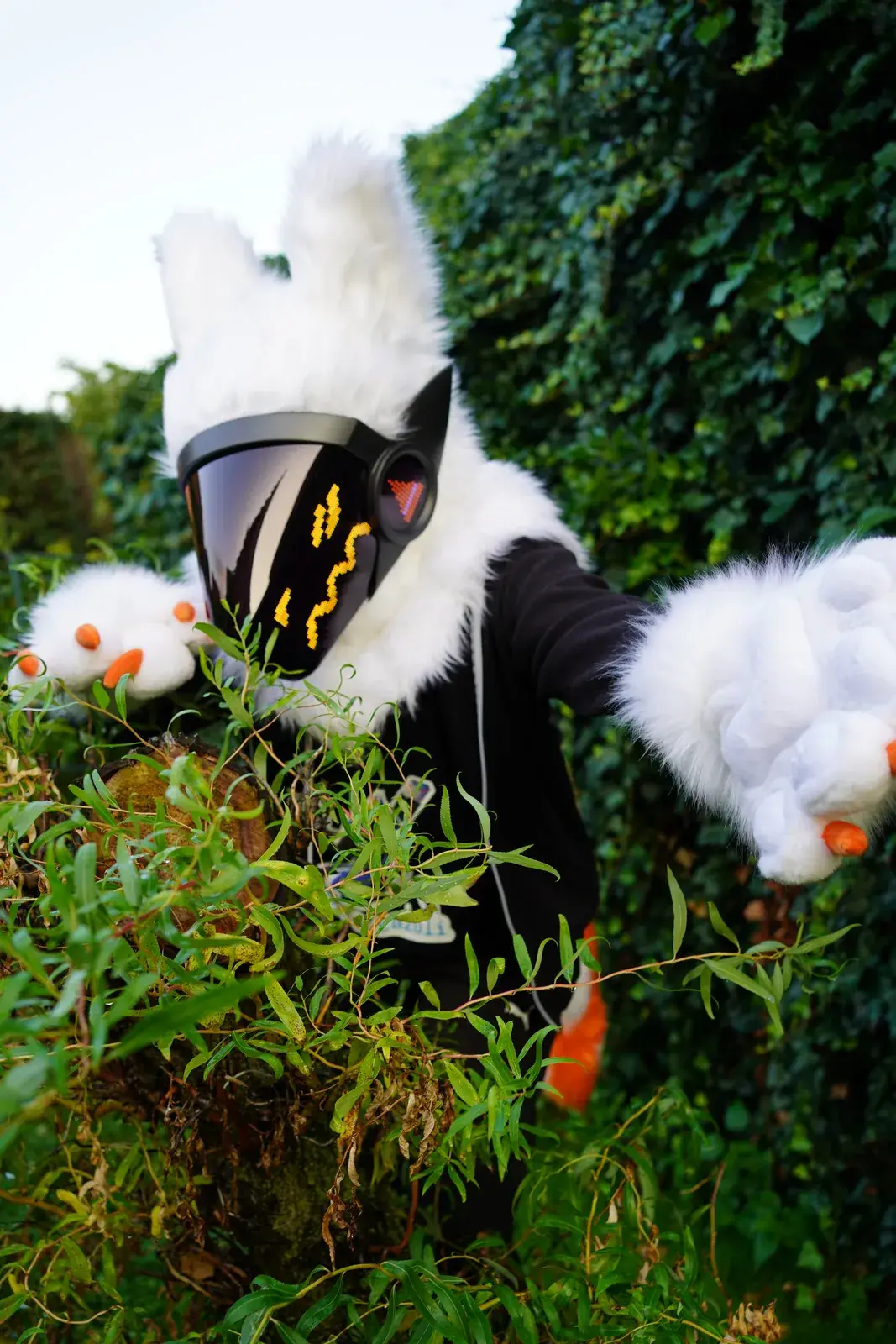 White Protogen mini partial reaching out from green bushes, white hand paws with orange claws