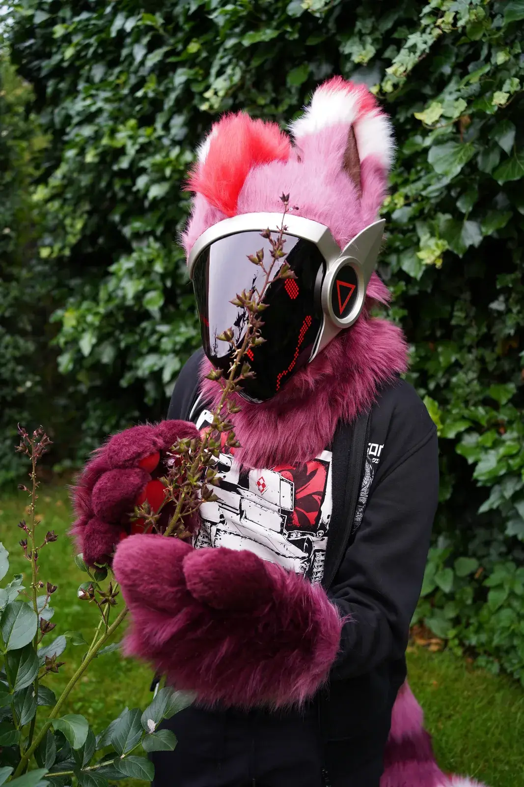 Pink and dark magenta Protogen partial with a silver visor, holding garden plants outdoors