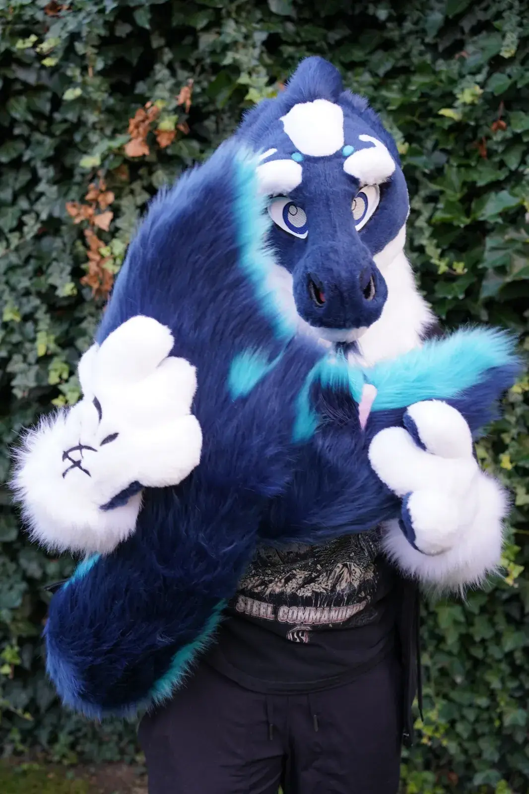 Dark navy blue toony fursuit head with white paws, a long tail, teal accents and large blue toony eyes