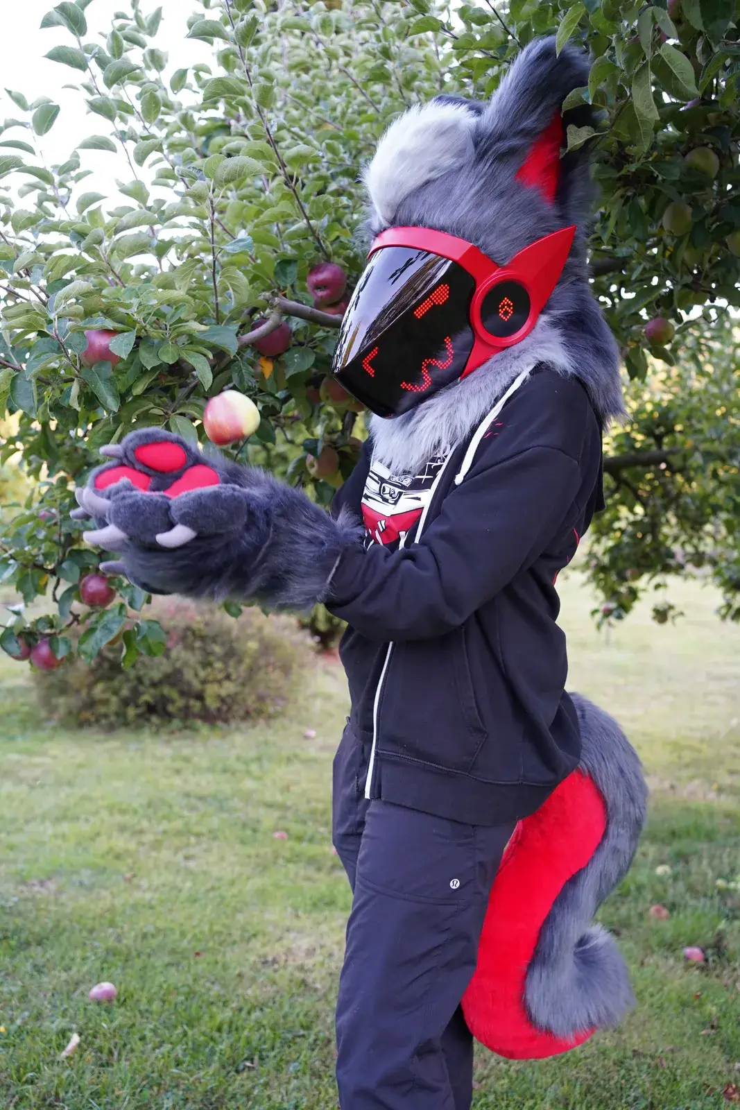 Gray and red Protogen partial beside an apple tree, red accented black visor, gray paws reaching for apples on the tree