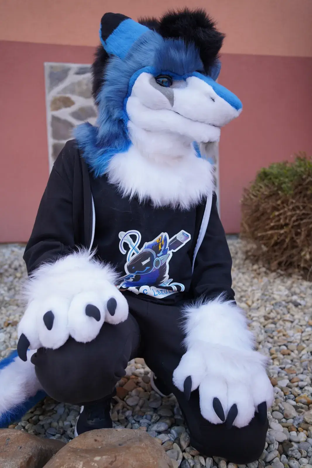Blue, gray and white toony wolf fursuit worn outdoors on gravel against a pink wall, big blue eyes, white ruff and a branded hoodie