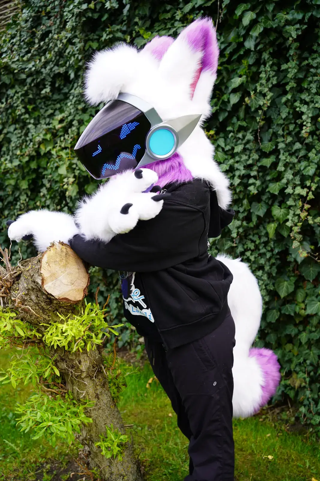 White and purple Protogen partial leaning on a cut log outdoors against ivy, dark visor with blue squiggle eyes and a teal side disc