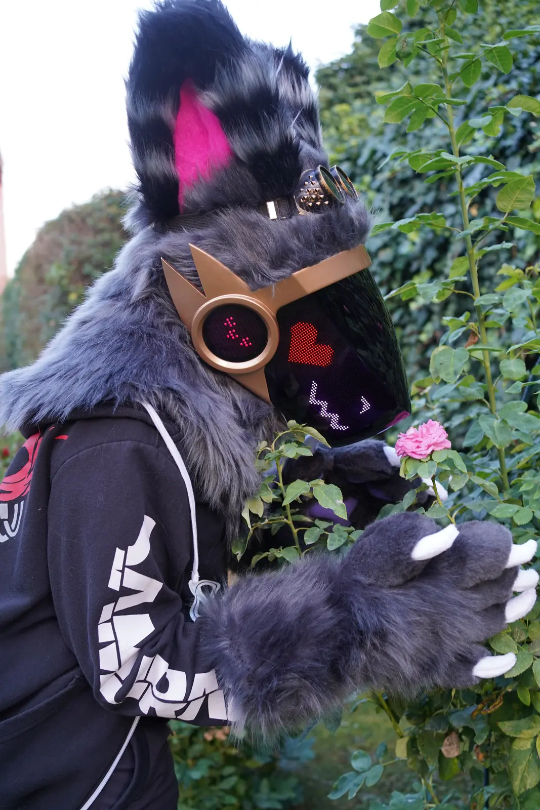 Catalyst, a grey Protogen full partial smelling a pink rose in the garden, by Arget & Lazuli
